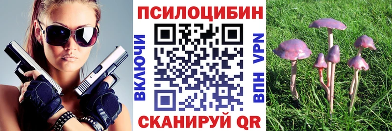 Галлюциногенные грибы прущие грибы купить Альметьевск